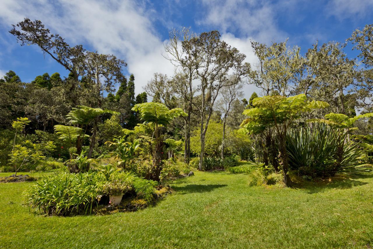 Hale 'Ohu Bed & Breakfast Volcano Esterno foto