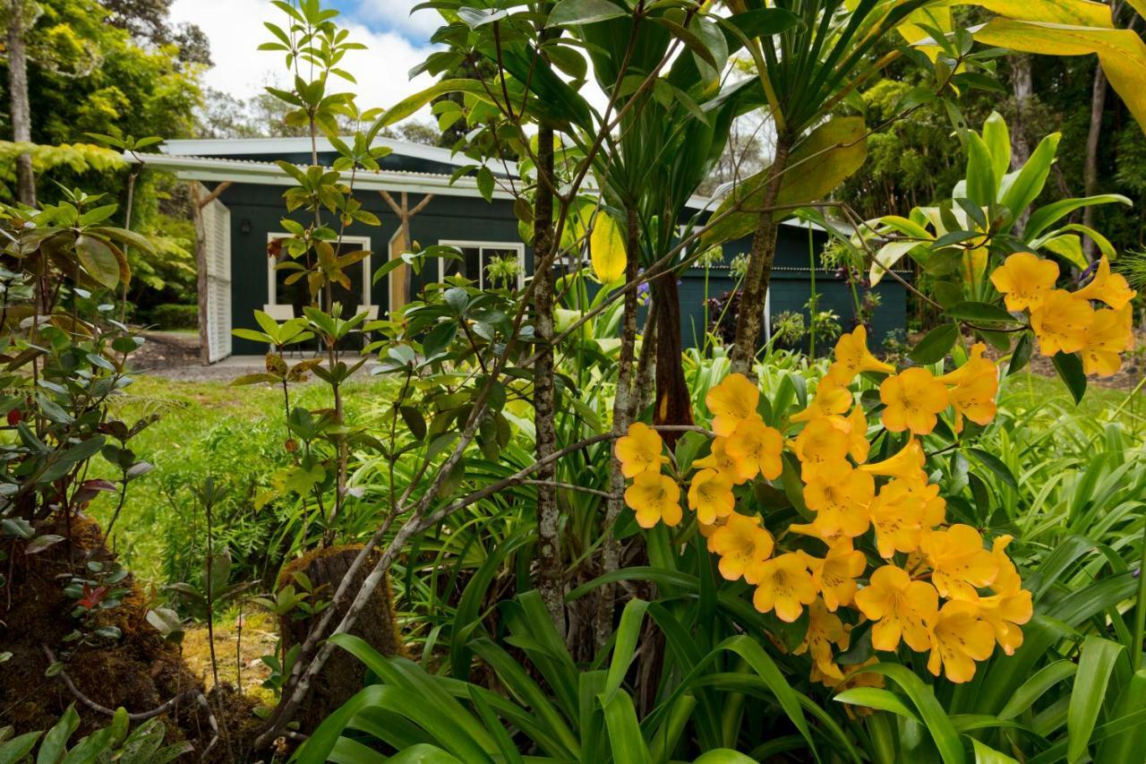Hale 'Ohu Bed & Breakfast Volcano Esterno foto